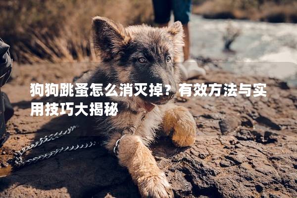 狗狗跳蚤怎么消滅掉？有效方法與實(shí)用技巧大揭秘