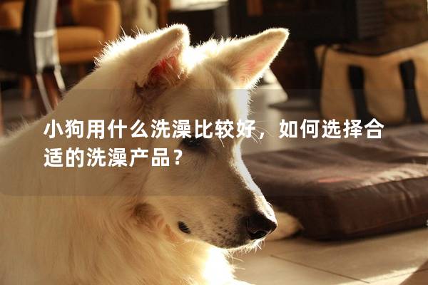 小狗用什么洗澡比較好，如何選擇合適的洗澡產(chǎn)品？