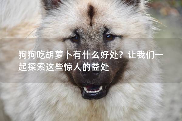 狗狗吃胡蘿卜有什么好處？讓我們一起探索這些驚人的益處