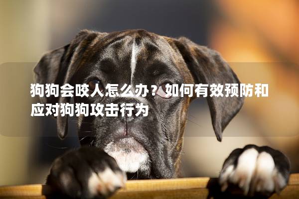 狗狗會咬人怎么辦？如何有效預防和應對狗狗攻擊行為