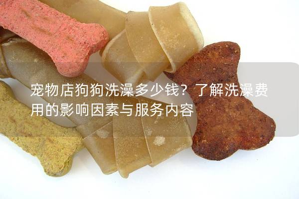 寵物店狗狗洗澡多少錢？了解洗澡費(fèi)用的影響因素與服務(wù)內(nèi)容