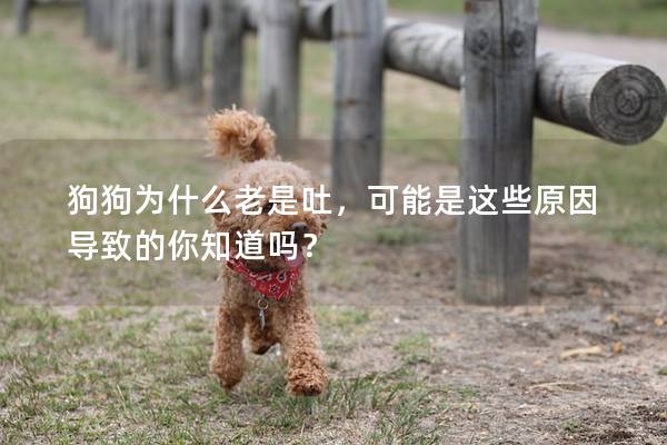 狗狗為什么老是吐，可能是這些原因導致的你知道嗎？