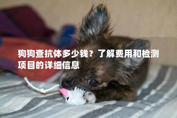 狗狗查抗體多少錢？了解費(fèi)用和檢測項目的詳細(xì)信息