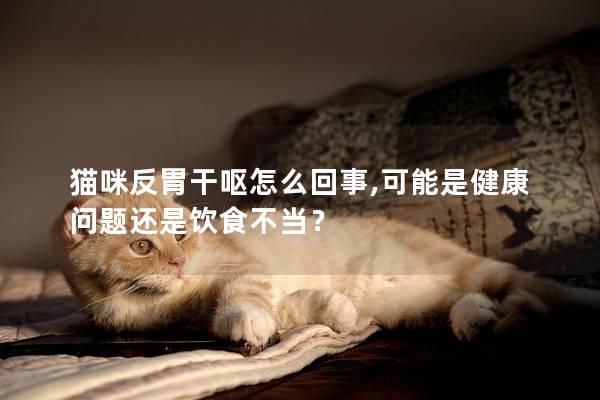 貓咪反胃干嘔怎么回事,可能是健康問題還是飲食不當？