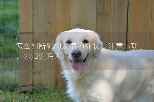 怎么判斷狗狗發情的癥狀與注意事項，你知道嗎？