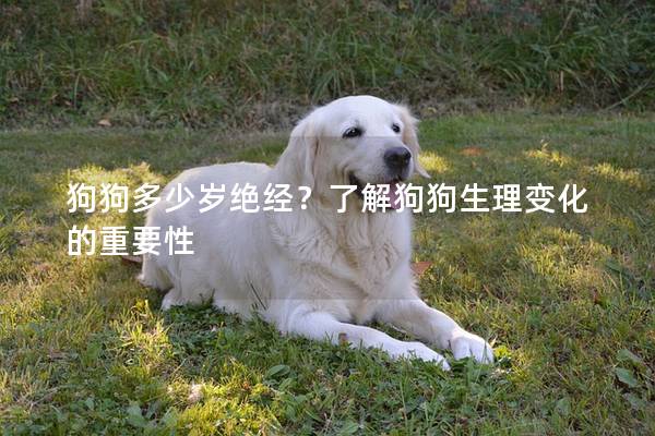 狗狗多少歲絕經(jīng)？了解狗狗生理變化的重要性