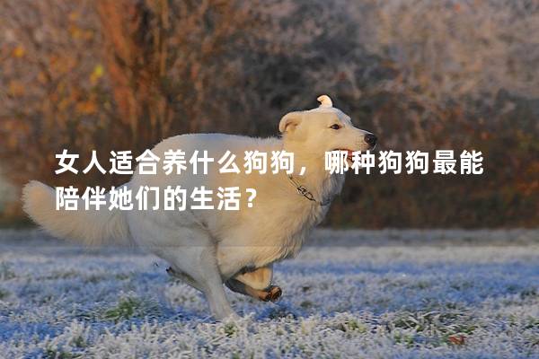 女人適合養(yǎng)什么狗狗，哪種狗狗最能陪伴她們的生活？