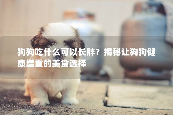 狗狗吃什么可以長(zhǎng)胖？揭秘讓狗狗健康增重的美食選擇