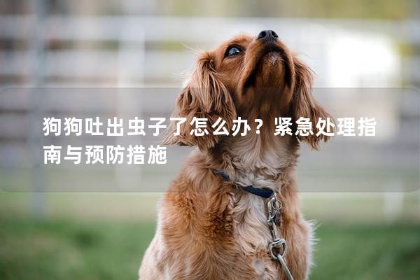 狗狗吐出蟲子了怎么辦？緊急處理指南與預防措施