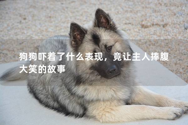 狗狗嚇著了什么表現,竟讓主人捧腹大笑的故事 狗狗嚇著了什么表現,竟讓主人捧腹大笑的故事