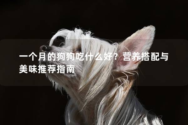 一個(gè)月的狗狗吃什么好？營養(yǎng)搭配與美味推薦指南