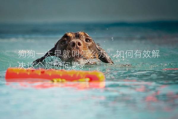 狗狗一大早就叫怎么辦，如何有效解決這個(gè)煩惱問題？