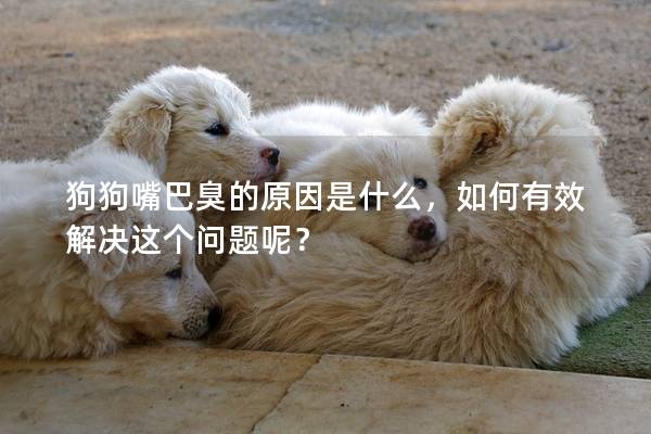 狗狗嘴巴臭的原因是什么，如何有效解決這個問題呢？