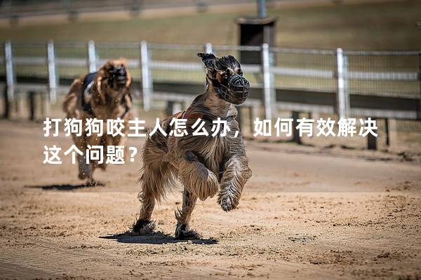 打狗狗咬主人怎么辦，如何有效解決這個問題？