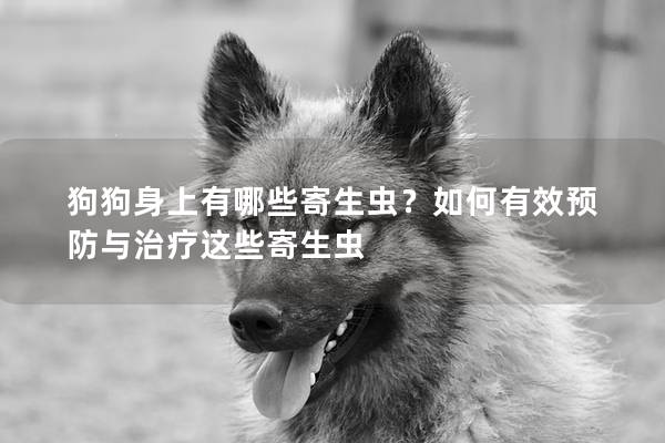 狗狗身上有哪些寄生蟲?如何有效預防與治療這些寄生蟲 狗狗身上有哪些寄生蟲?如何有效預防與治療這些寄生蟲