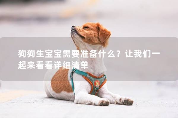 狗狗生寶寶需要準(zhǔn)備什么？讓我們一起來看看詳細(xì)清單