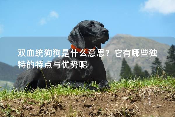 雙血統狗狗是什么意思？它有哪些獨特的特點與優勢呢