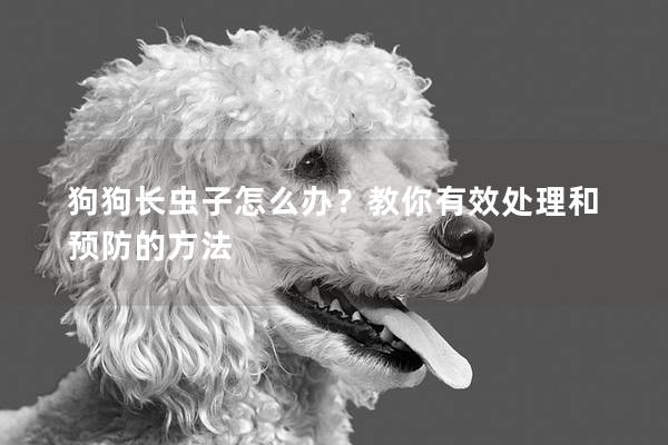 狗狗長蟲子怎么辦？教你有效處理和預防的方法