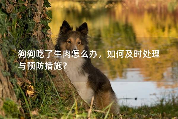 狗狗吃了生肉怎么辦，如何及時處理與預防措施？