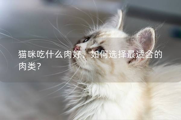 貓咪吃什么肉好,如何選擇最適合的肉類? 貓咪吃什么肉好,如何選擇最適合的肉類?