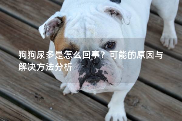 狗狗尿多是怎么回事？可能的原因與解決方法分析