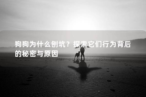 狗狗為什么刨坑？探索它們行為背后的秘密與原因