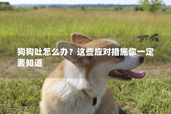 狗狗吐怎么辦？這些應對措施你一定要知道