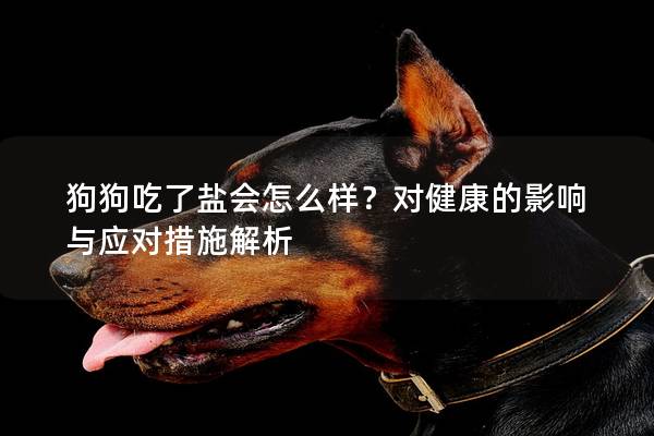 狗狗吃了鹽會怎么樣？對健康的影響與應(yīng)對措施解析