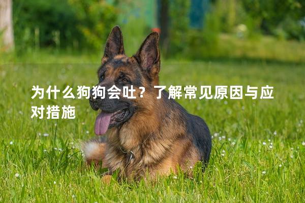 為什么狗狗會吐？了解常見原因與應對措施