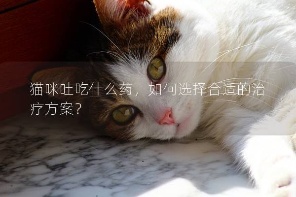 貓咪吐吃什么藥，如何選擇合適的治療方案？