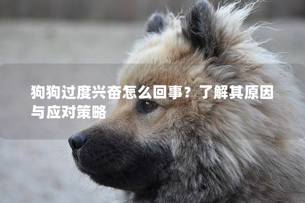 狗狗過(guò)度興奮怎么回事?了解其原因與應(yīng)對(duì)策略 狗狗過(guò)度興奮怎么回事?了解其原因與應(yīng)對(duì)策略