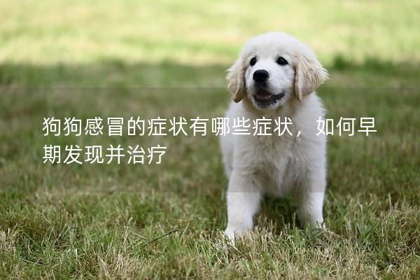 狗狗感冒的癥狀有哪些癥狀，如何早期發(fā)現(xiàn)并治療