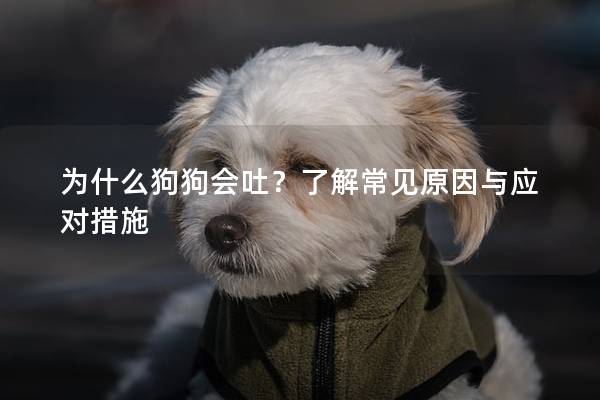 為什么狗狗會吐？了解常見原因與應對措施