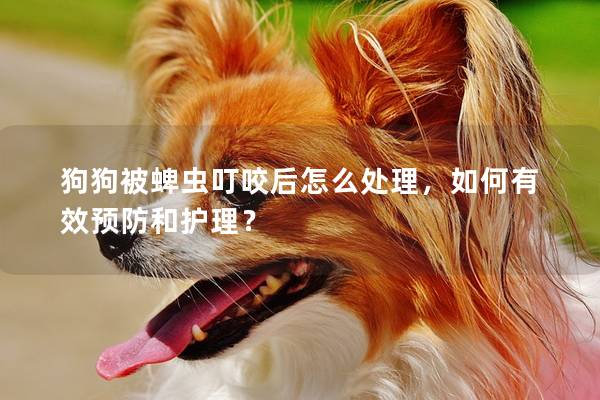 狗狗被蜱蟲叮咬后怎么處理，如何有效預(yù)防和護(hù)理？