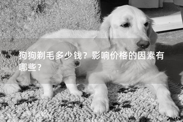 狗狗剃毛多少錢？影響價(jià)格的因素有哪些？