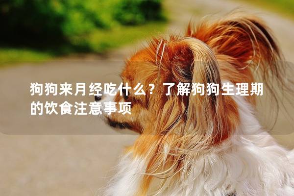 狗狗來月經(jīng)吃什么？了解狗狗生理期的飲食注意事項(xiàng)