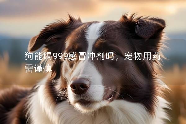 狗能喝999感冒沖劑嗎，寵物用藥需謹慎