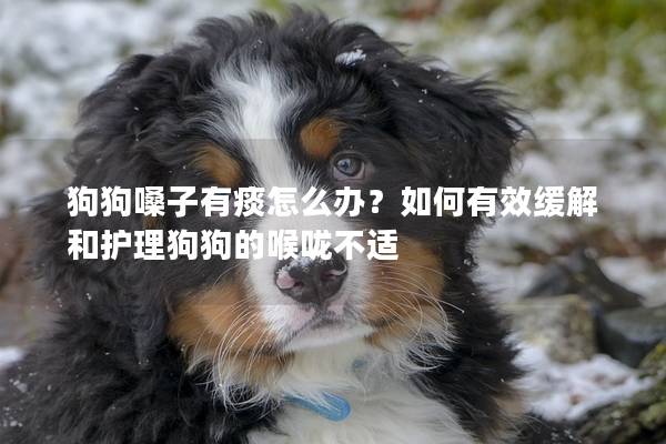 狗狗嗓子有痰怎么辦？如何有效緩解和護理狗狗的喉嚨不適