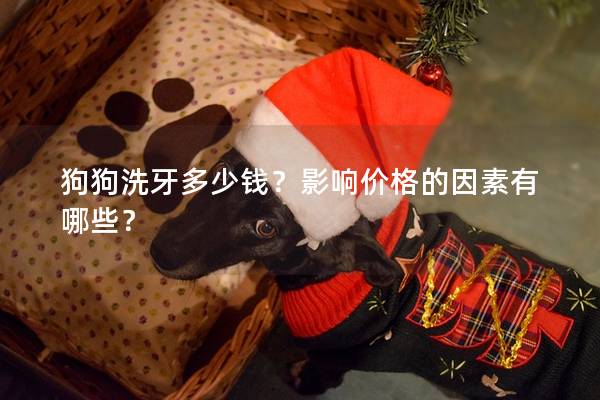 狗狗洗牙多少錢？影響價格的因素有哪些？