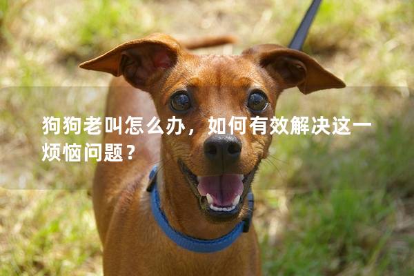 狗狗老叫怎么辦，如何有效解決這一煩惱問題？