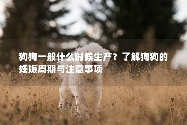 狗狗一般什么時候生產？了解狗狗的妊娠周期與注意事項