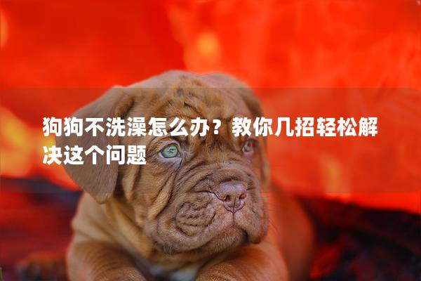 狗狗不洗澡怎么辦？教你幾招輕松解決這個問題
