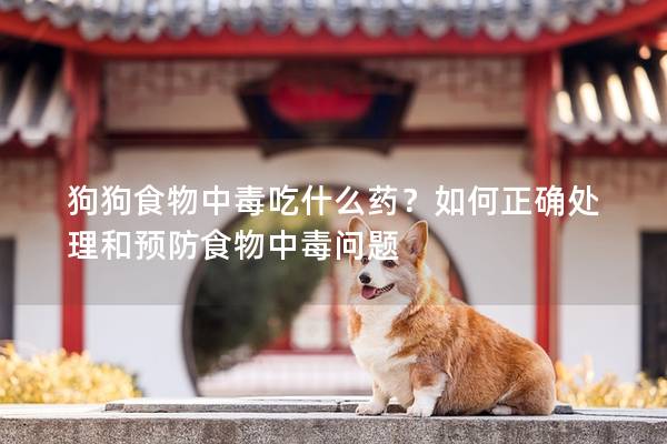 狗狗食物中毒吃什么藥？如何正確處理和預(yù)防食物中毒問(wèn)題