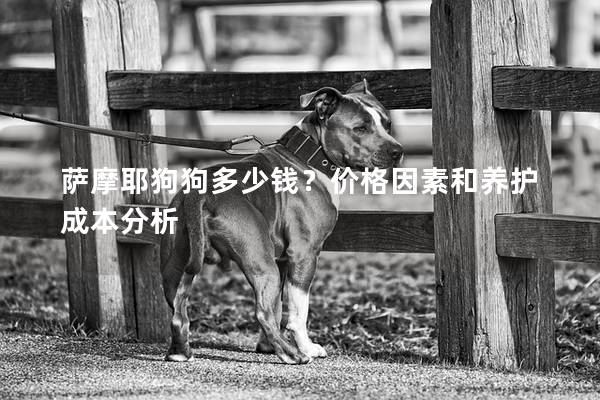 薩摩耶狗狗多少錢？價格因素和養護成本分析