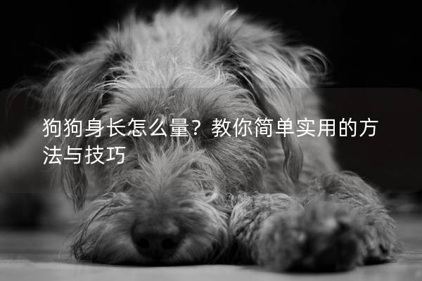 狗狗身長(zhǎng)怎么量？教你簡(jiǎn)單實(shí)用的方法與技巧