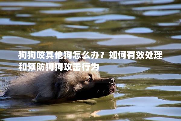 狗狗咬其他狗怎么辦？如何有效處理和預(yù)防狗狗攻擊行為