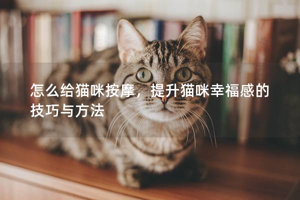 怎么給貓咪按摩，提升貓咪幸福感的技巧與方法