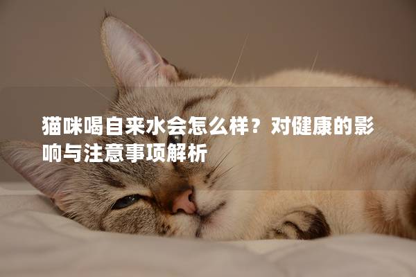 貓咪喝自來水會怎么樣？對健康的影響與注意事項解析