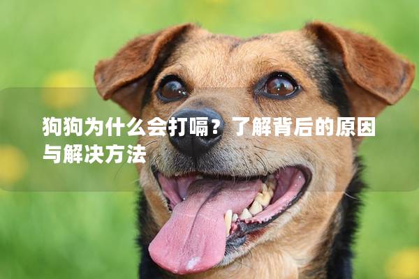 狗狗為什么會打嗝？了解背后的原因與解決方法