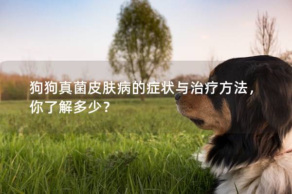 狗狗真菌皮膚病的癥狀與治療方法，你了解多少？